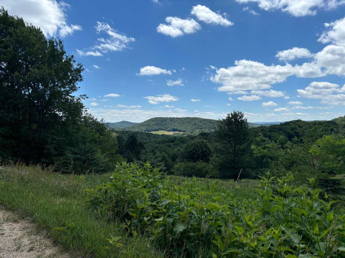 Spruce Mountain Trail photo 4
