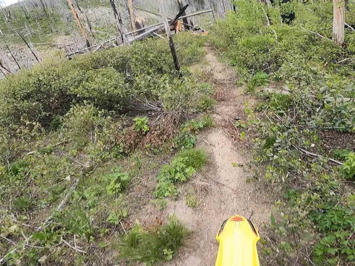 Camp Creek Trail photo 2