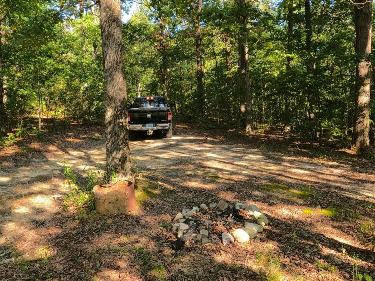 Newby Cemetery Road - FS 130 photo 4