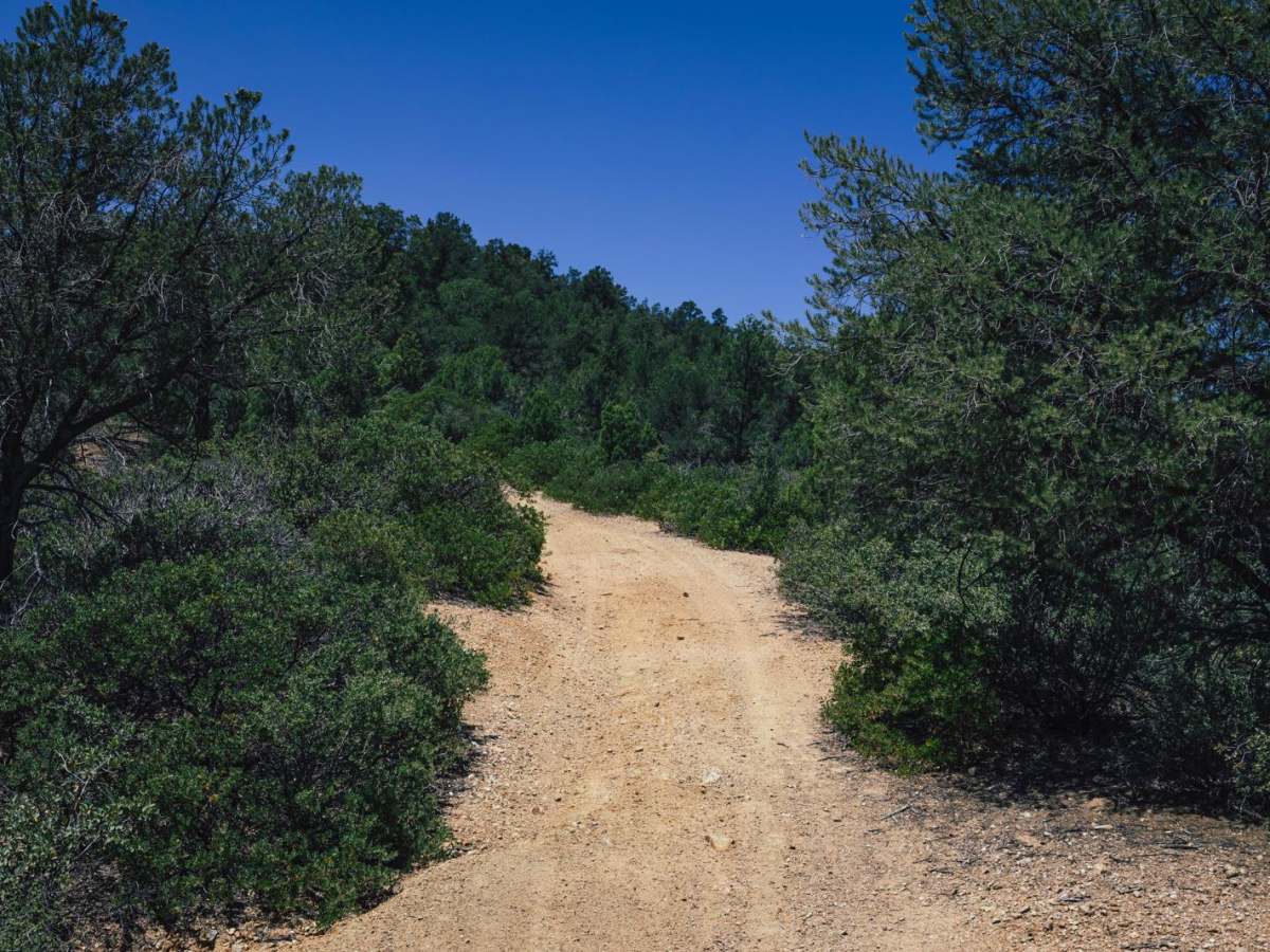 Old Camp Wood Road photo 3