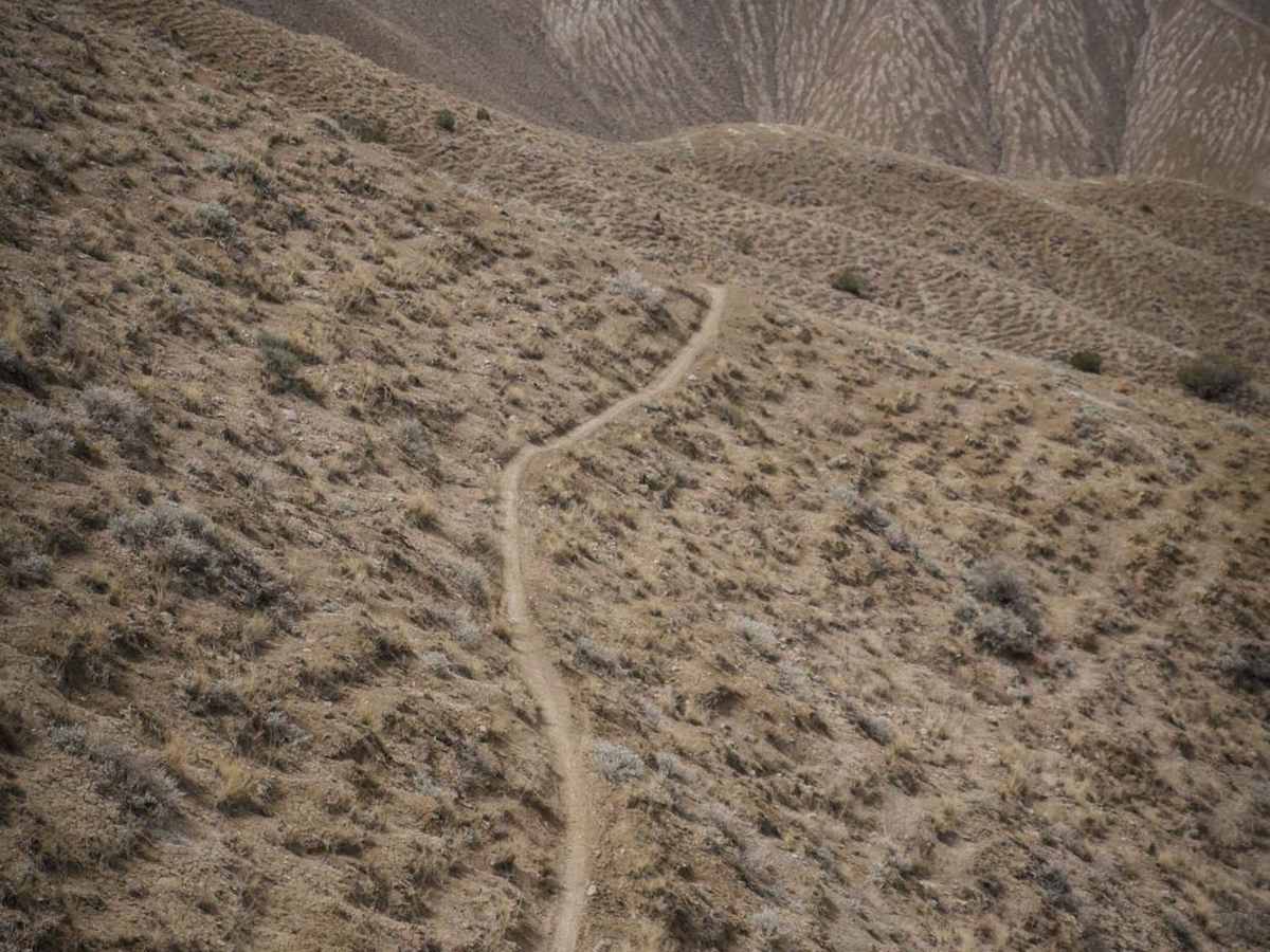 Dump Ridge trail photo