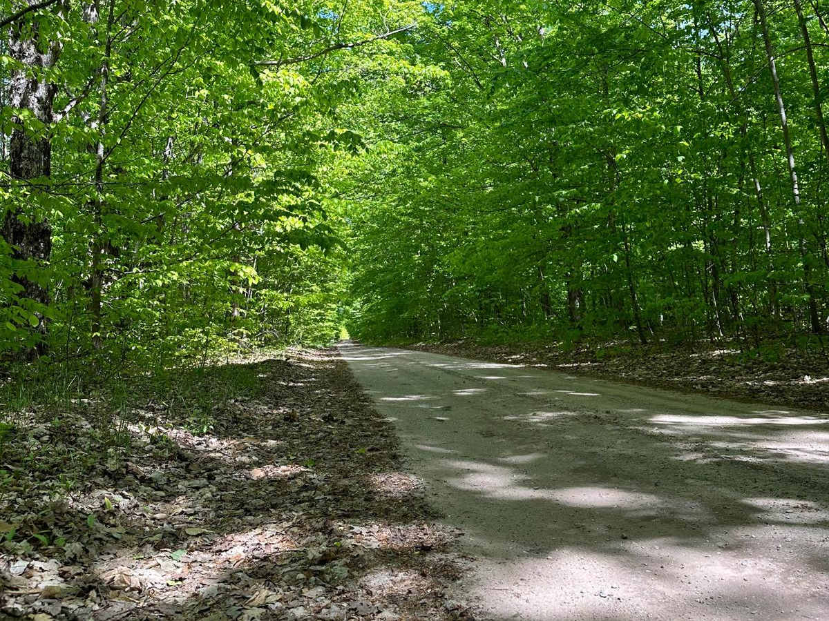 Oviatt Road photo 3
