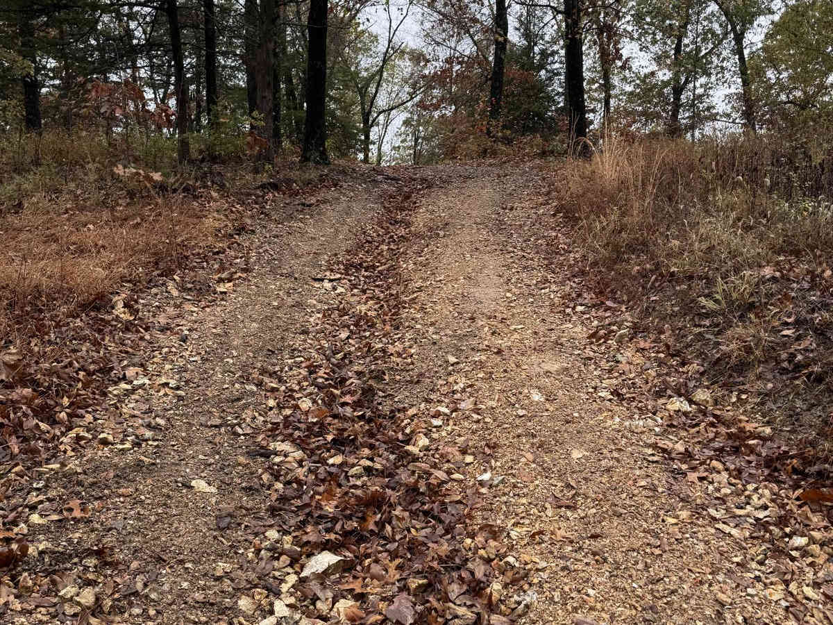 Green 102 trail photo