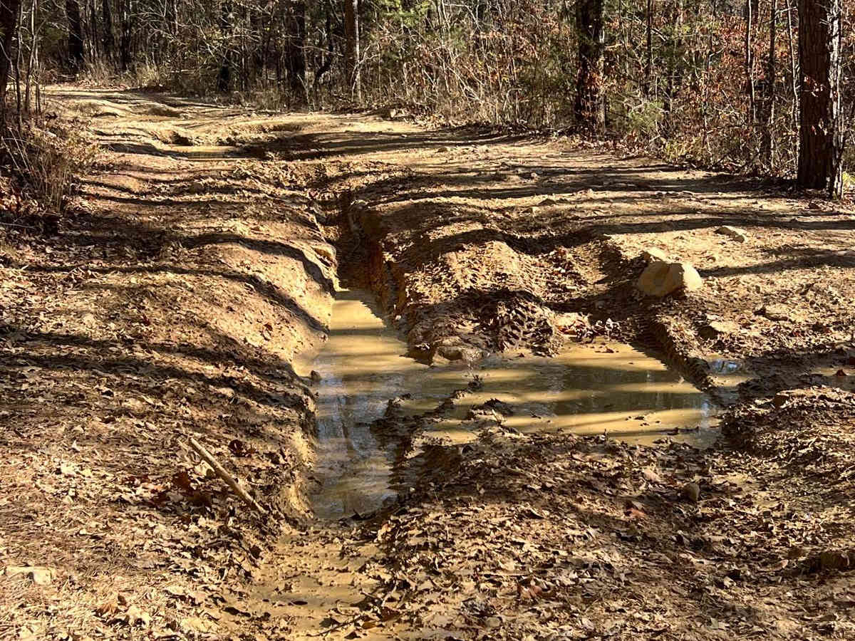 Sycamore Creek photo 3