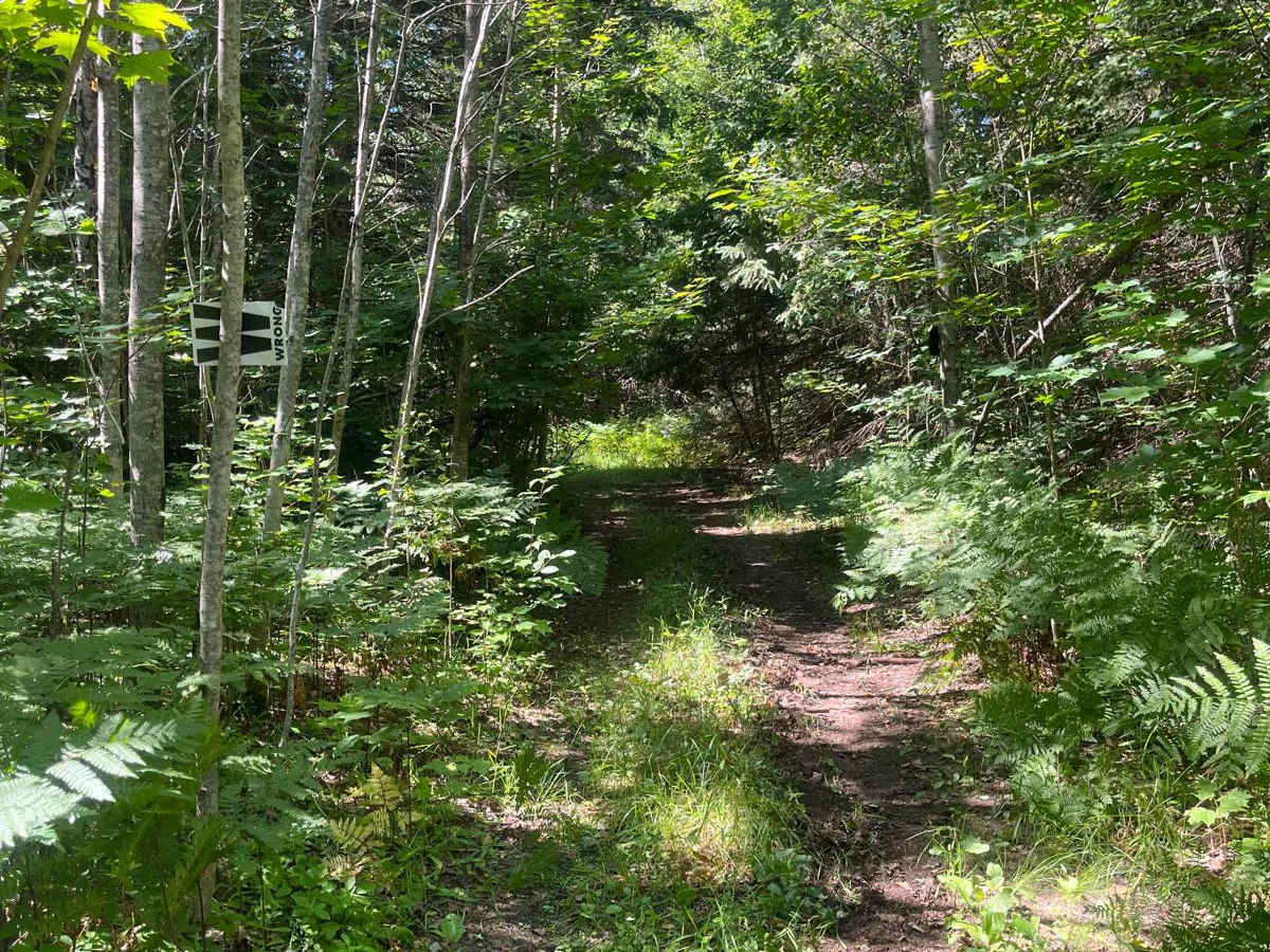 MCCCT Newberry to Rexton photo 3