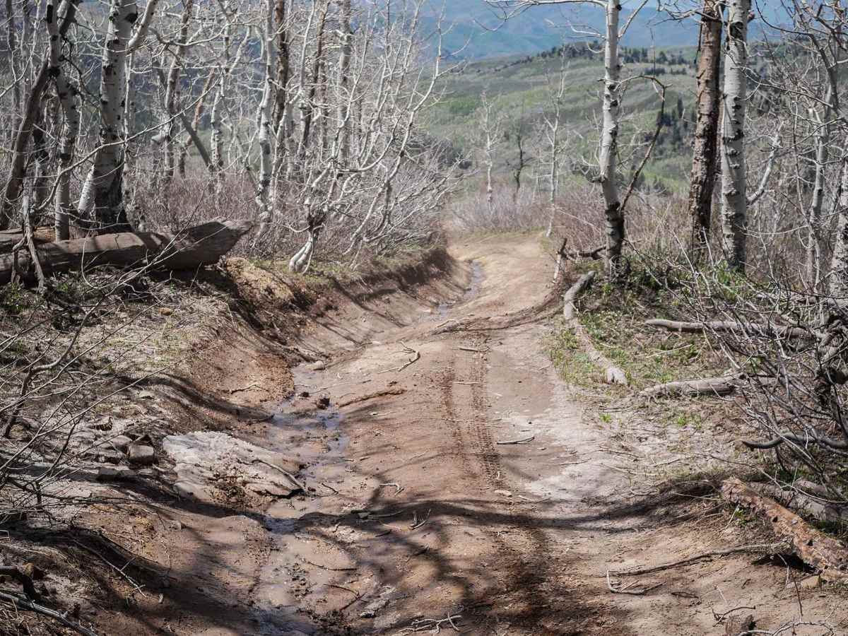 Gwt Strawberry Ridge ATV photo 6