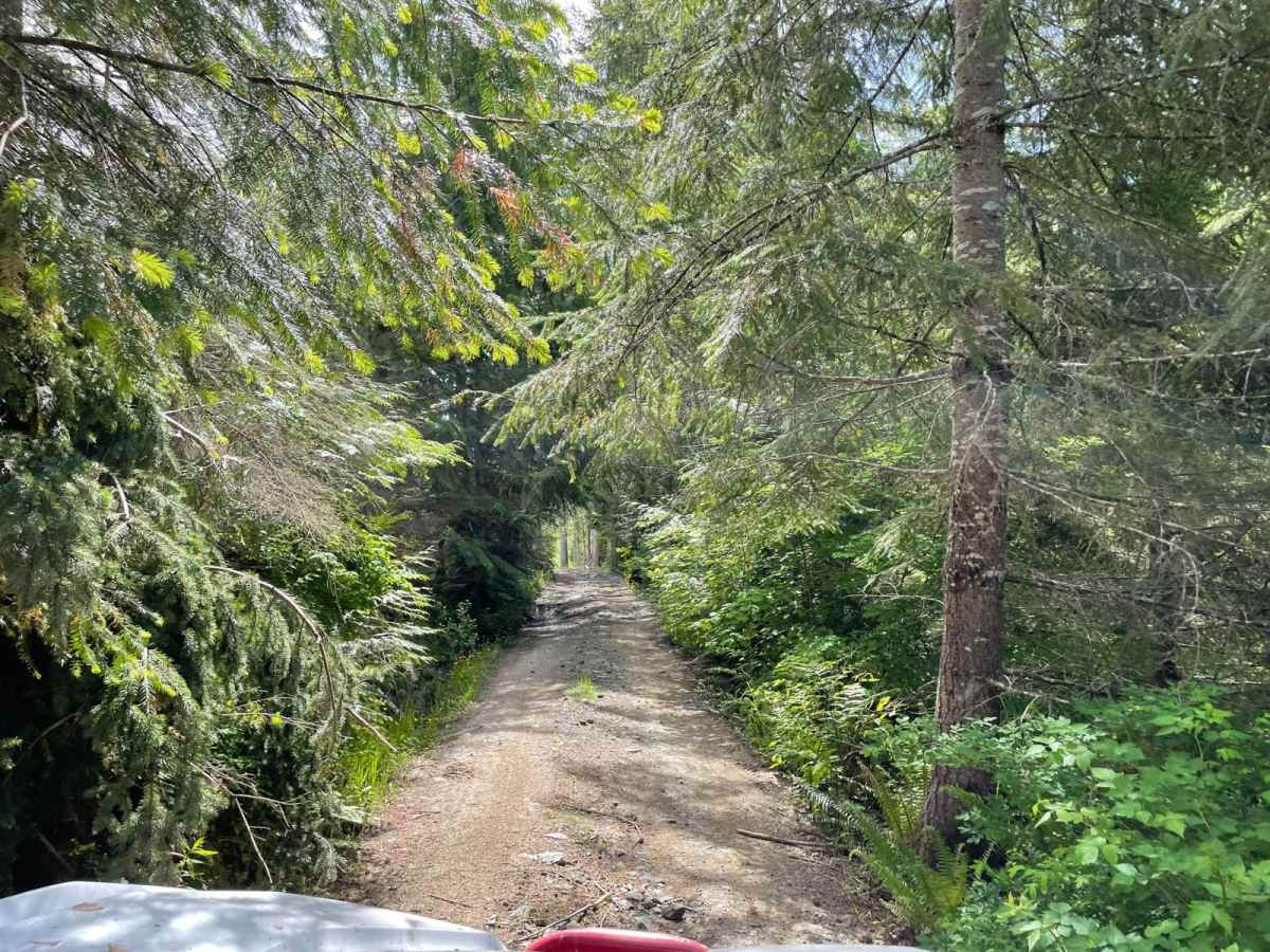 No Newbies and 4x4 Skills Area photo 4
