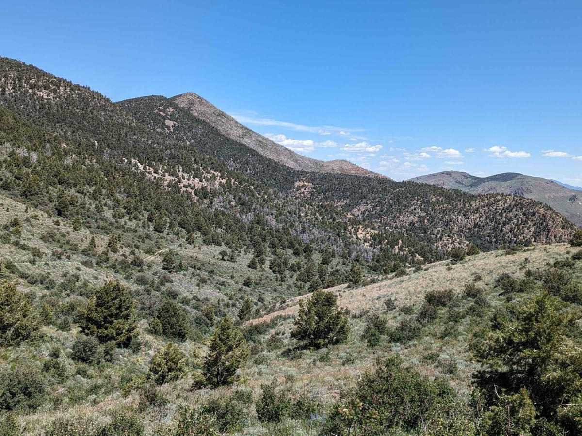 Johnny Canyon trail photo