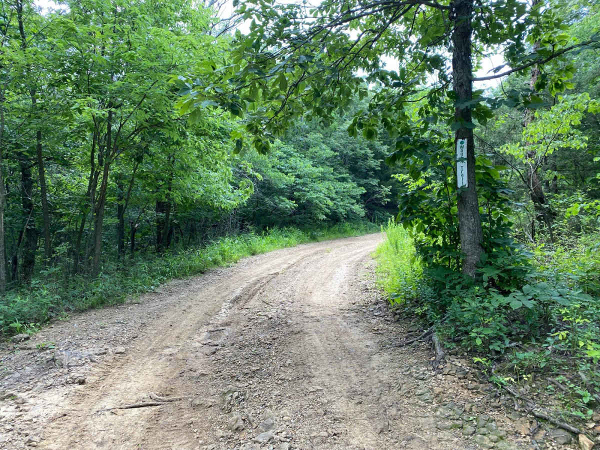Wagon Trail trail photo