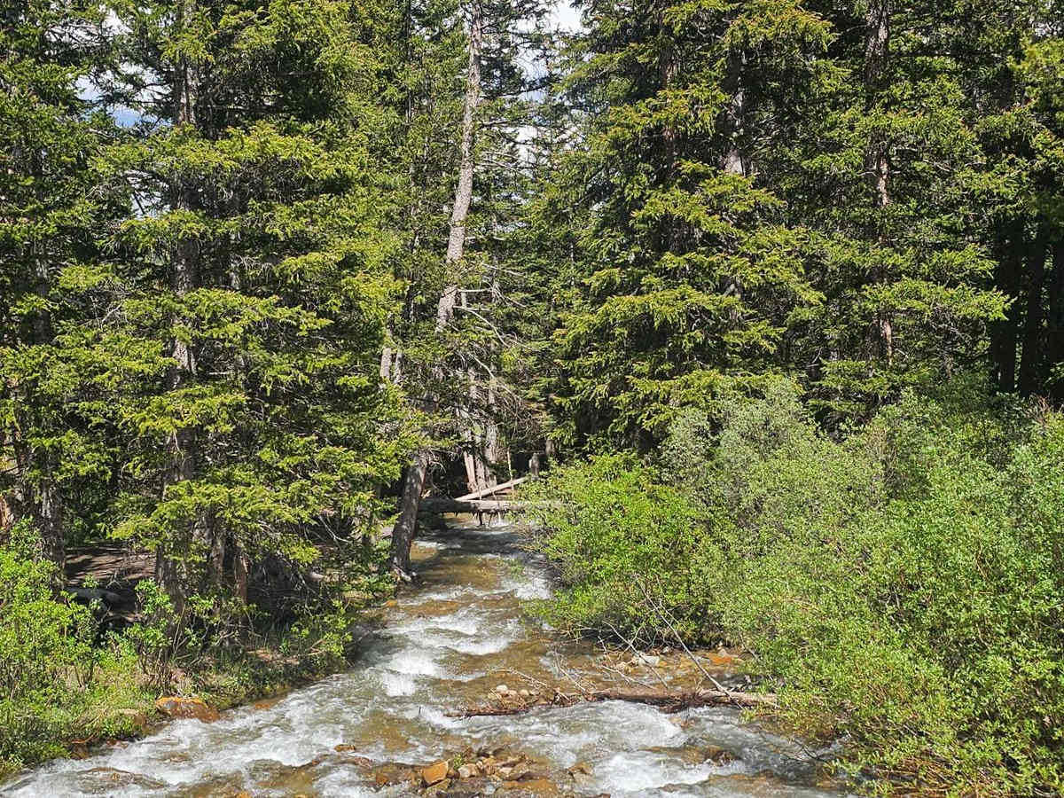 Michigan Creek Road photo 3