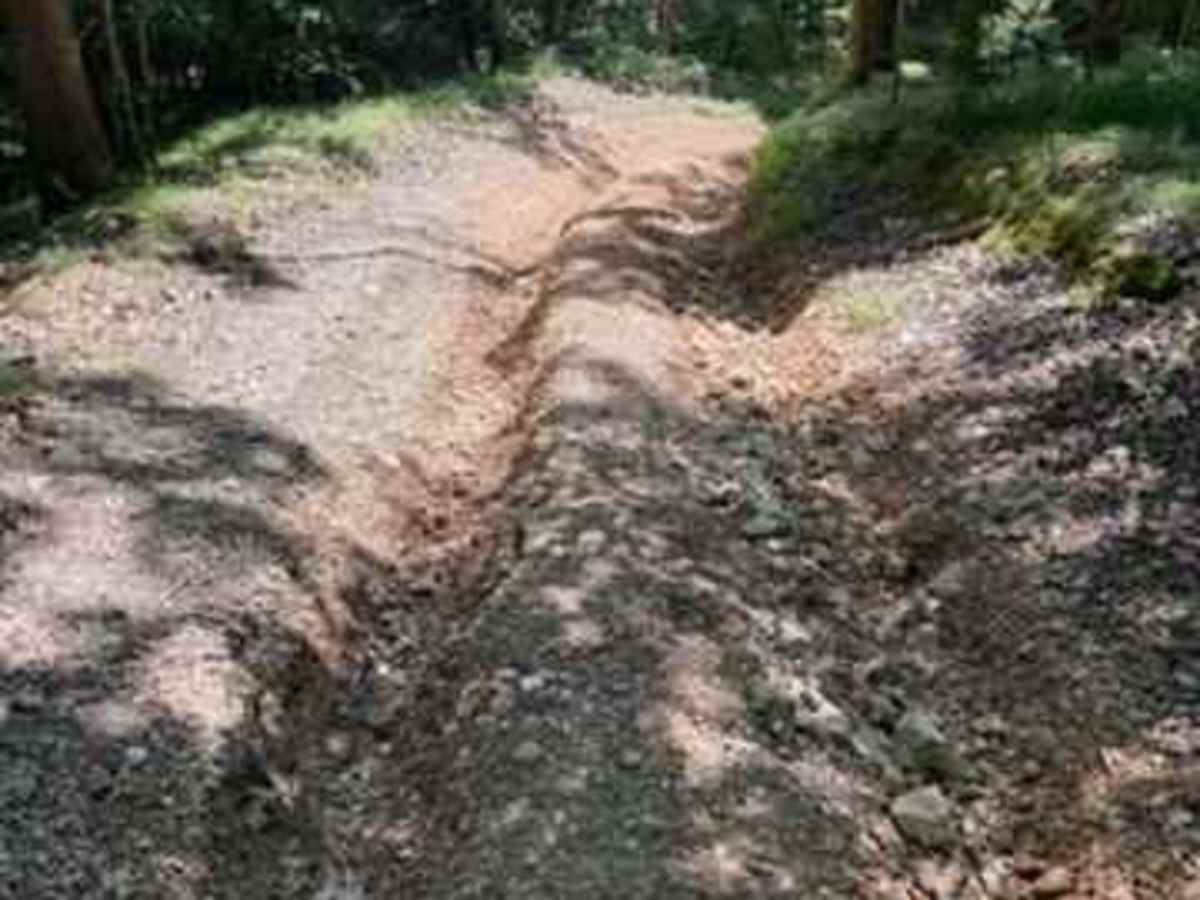 Alli's Trail photo 4