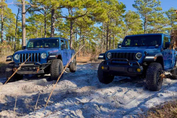 Bogue road spur 2
