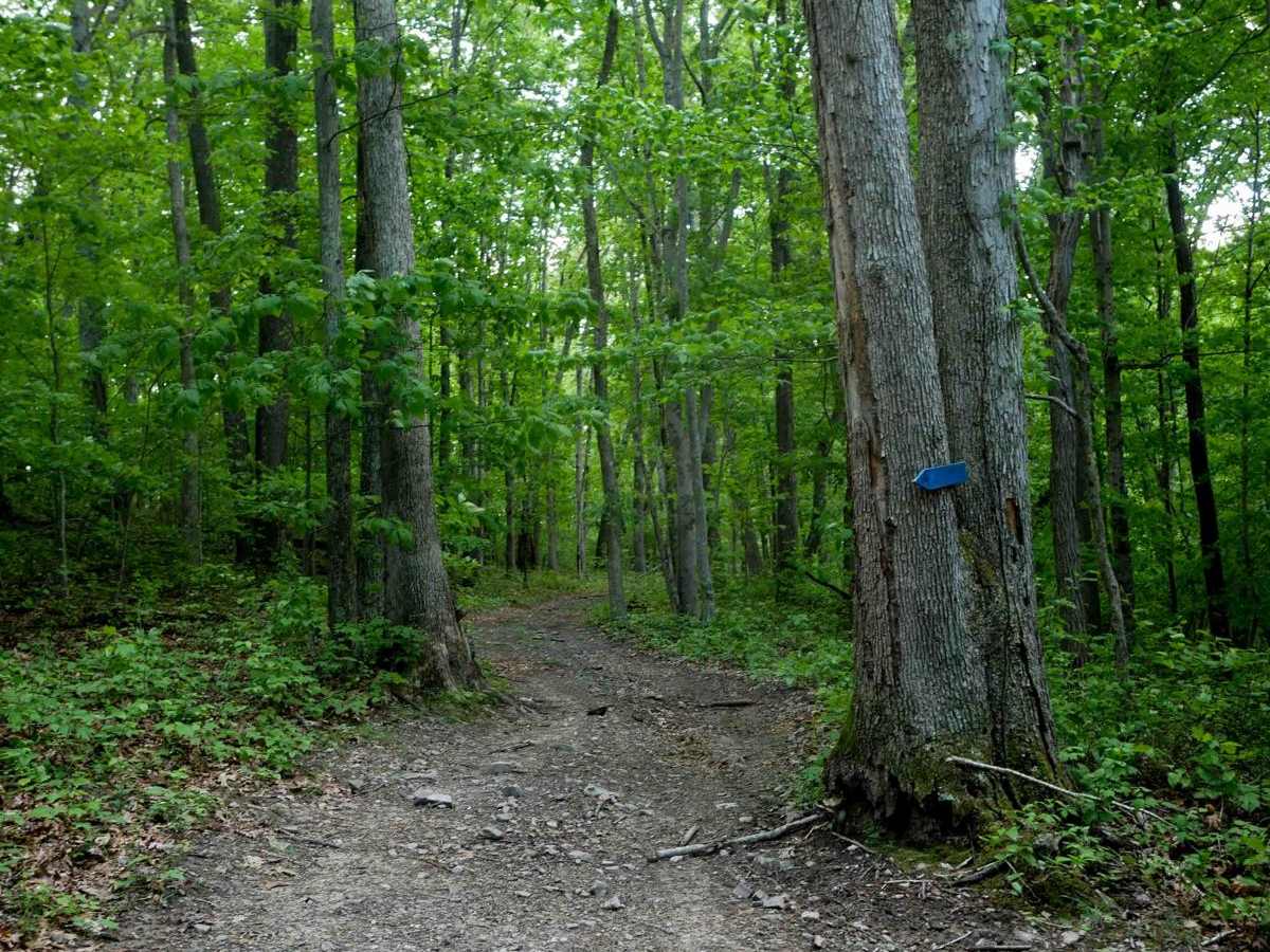 Trail 14 photo 3