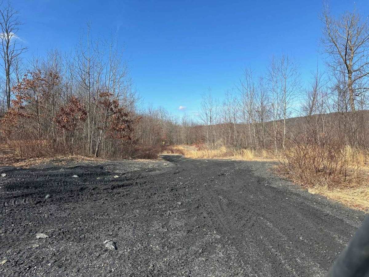 Locust Gap 45 photo 4