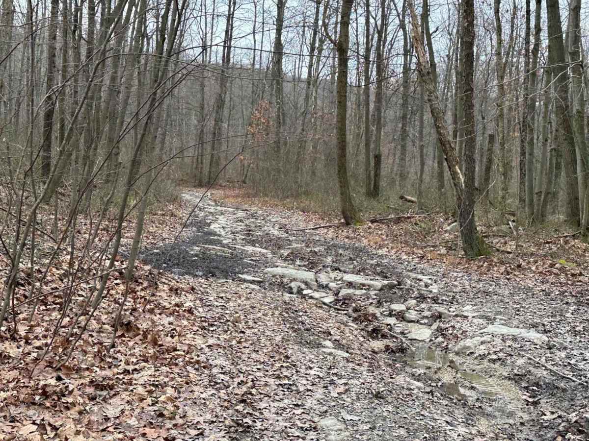 Locust Gap 21 trail photo