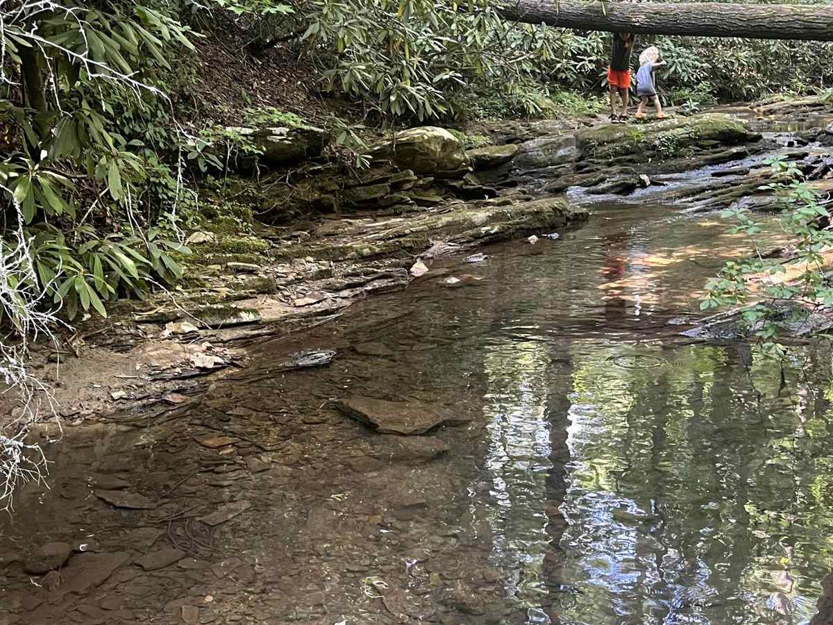 Clear Creek (FSR 185) photo 2