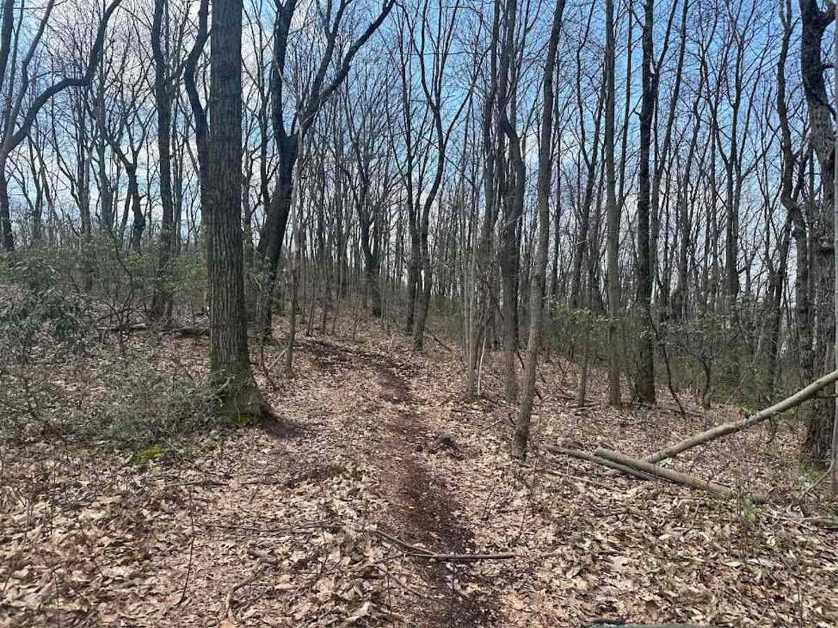 Ashland 174 photo 3