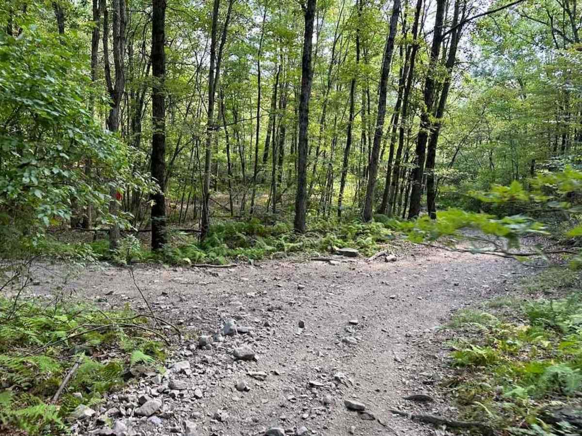 12 Red trail photo