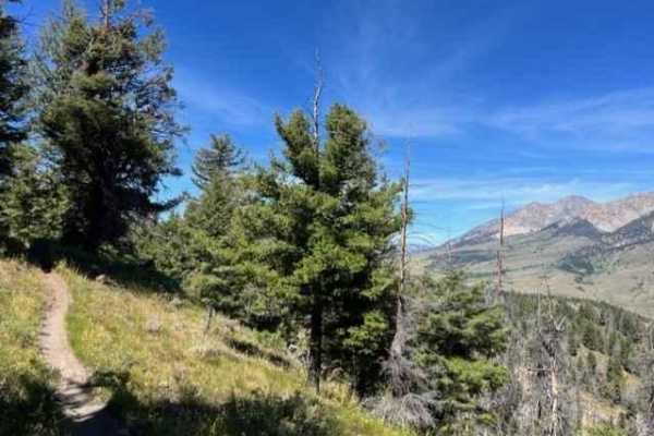 Oregon Gulch to Fox Peak