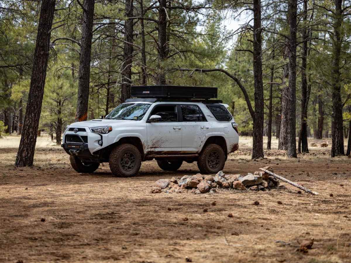 Elk Run trail photo