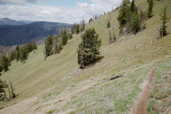 Three Mile Ridge