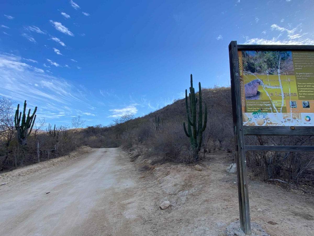 El Paso photo 5
