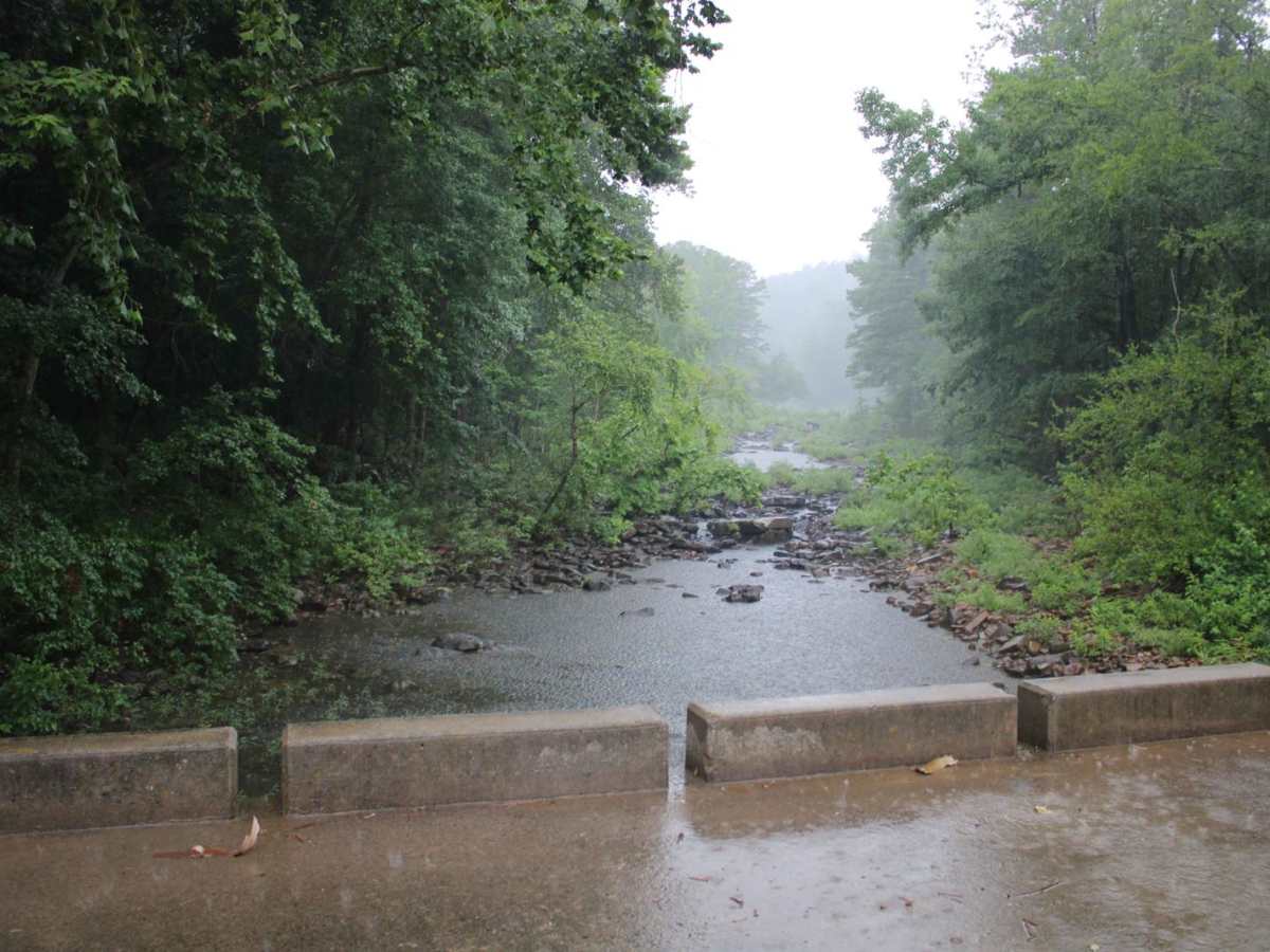 Jack Creek Road trail photo