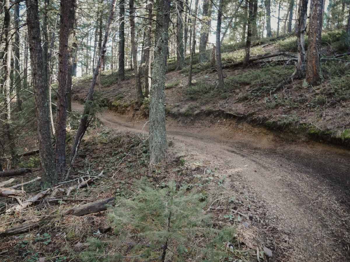 788 ATV Trail photo 2