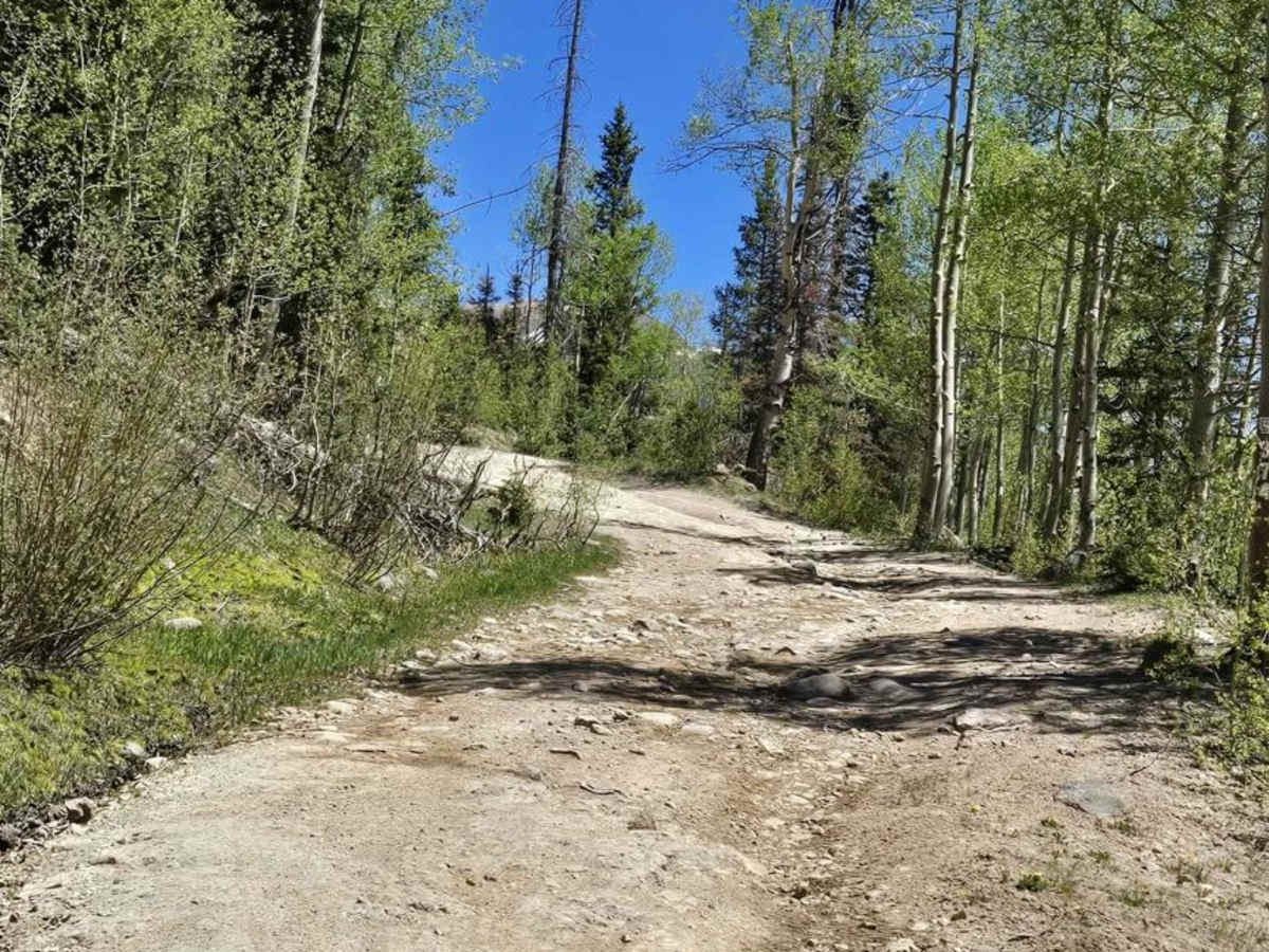Swale Lake Loop photo 4