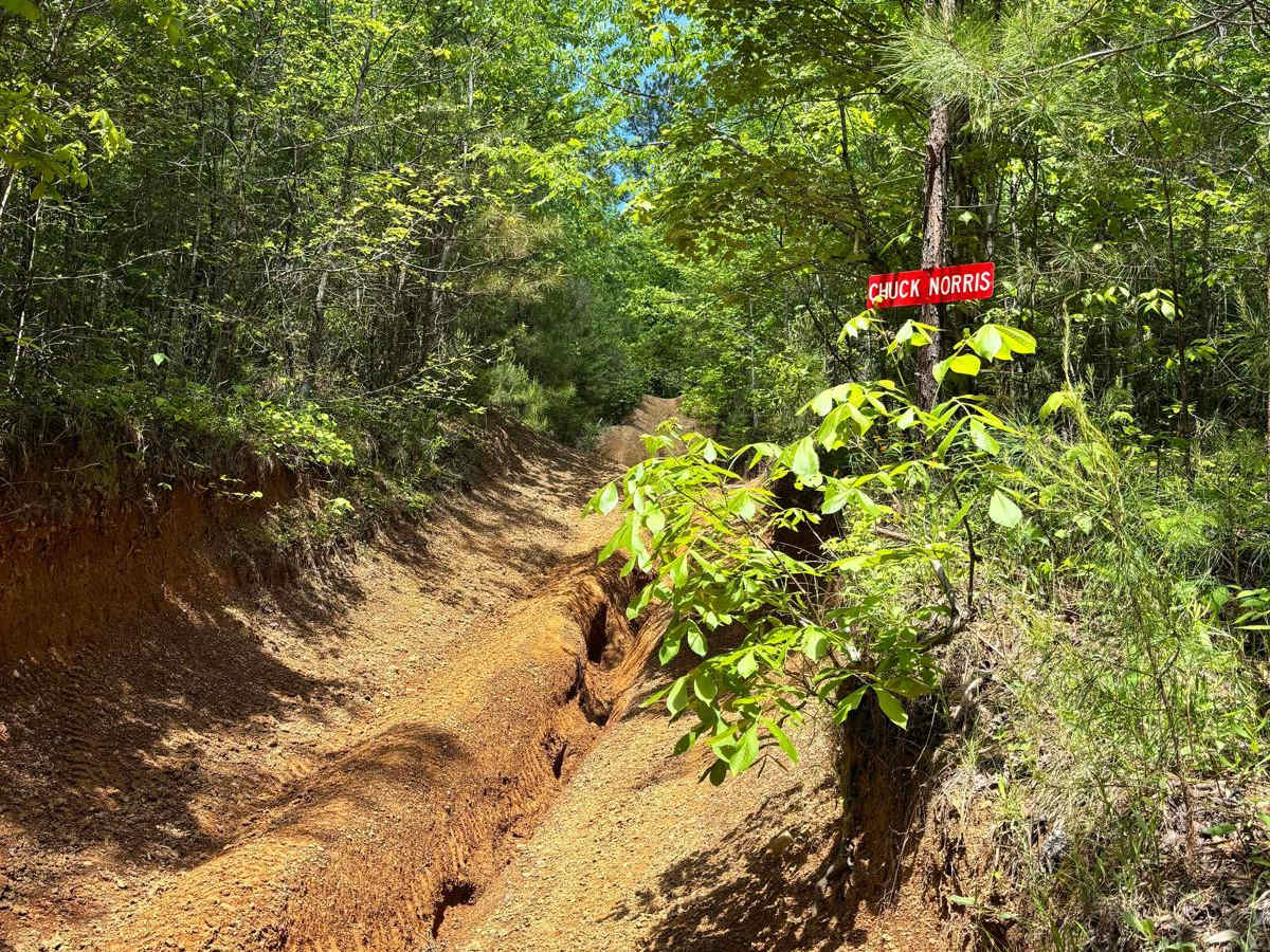 Chuck Norris trail photo