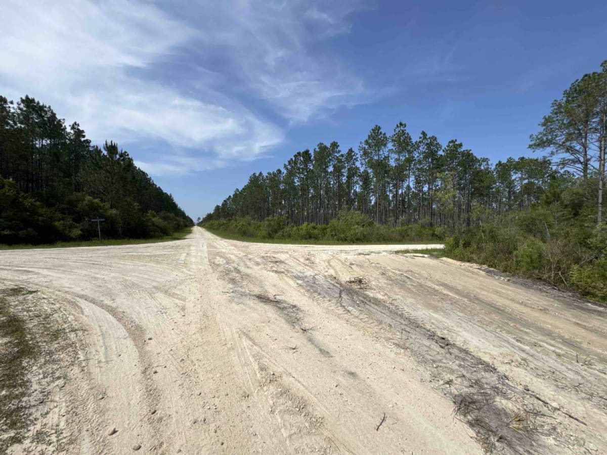 Gully Branch Road photo 2