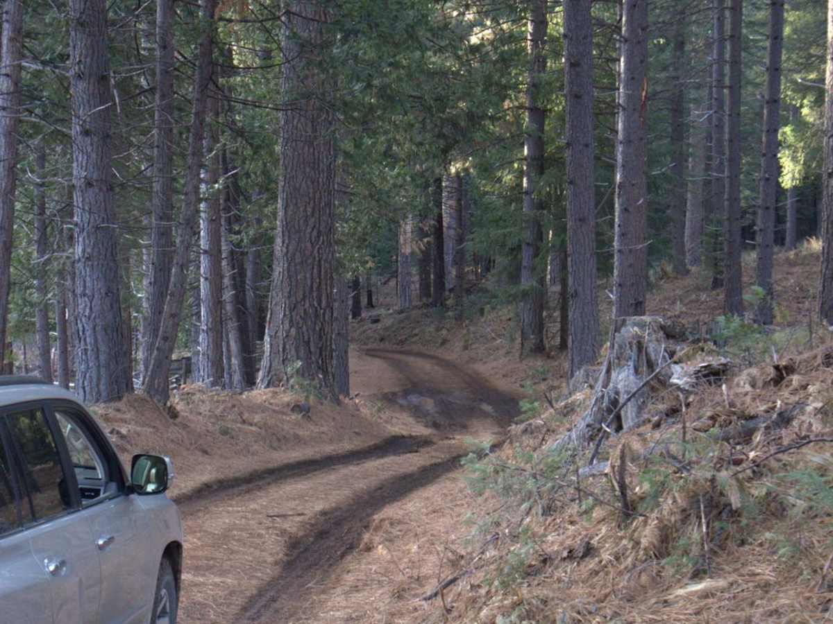 Elliot Ranch Road photo 4