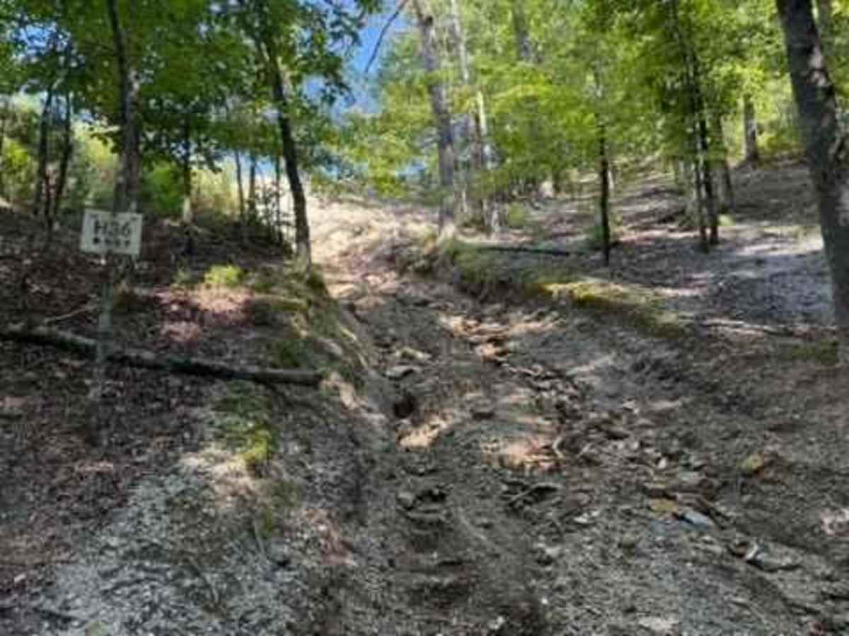 H36 trail photo
