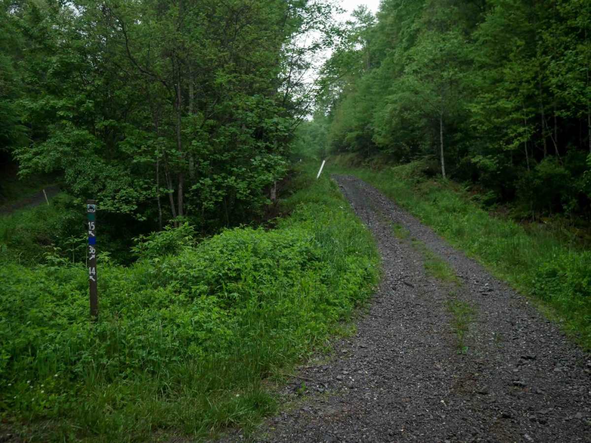 J36 photo 2