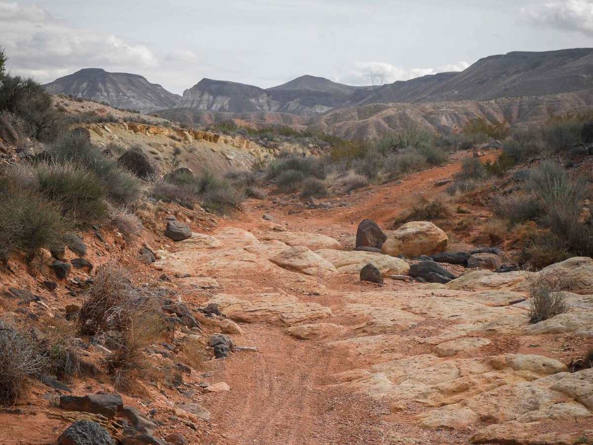 2018 ATV photo 3