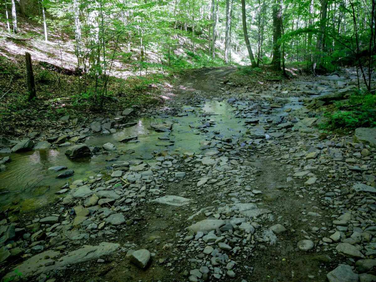 Trail 23 Sawmill Run photo 3