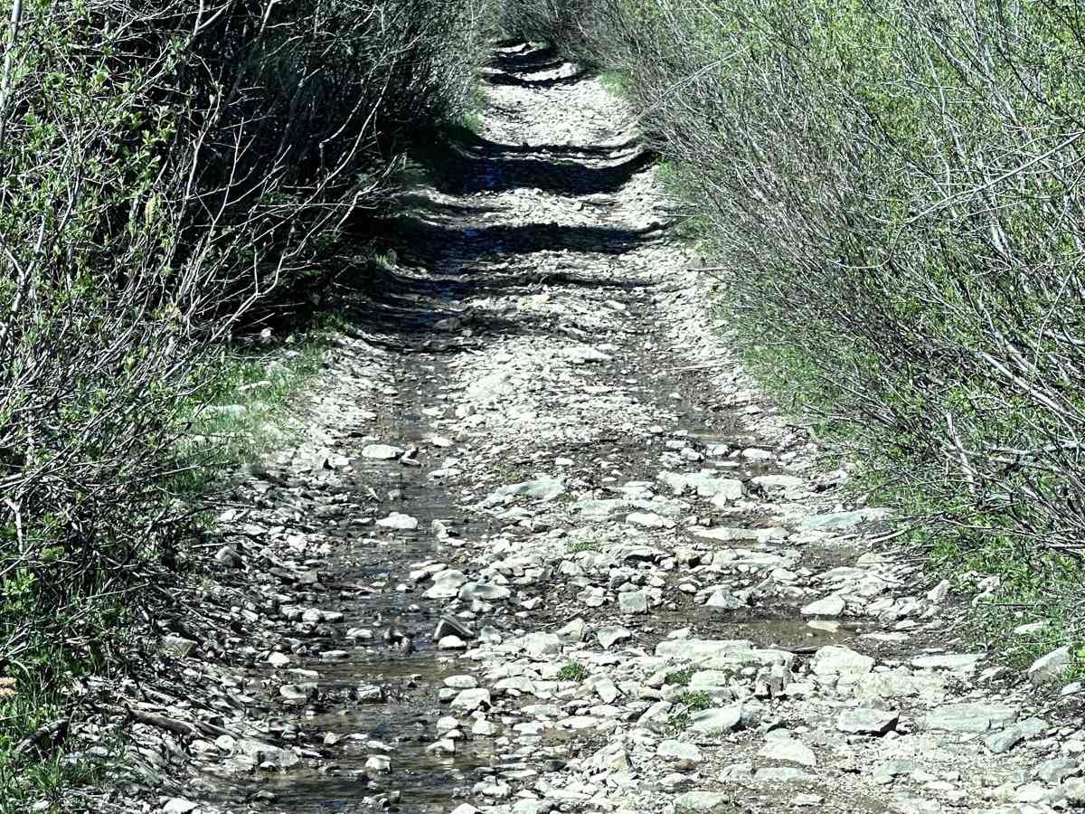 Poch Ridge Trail photo 4