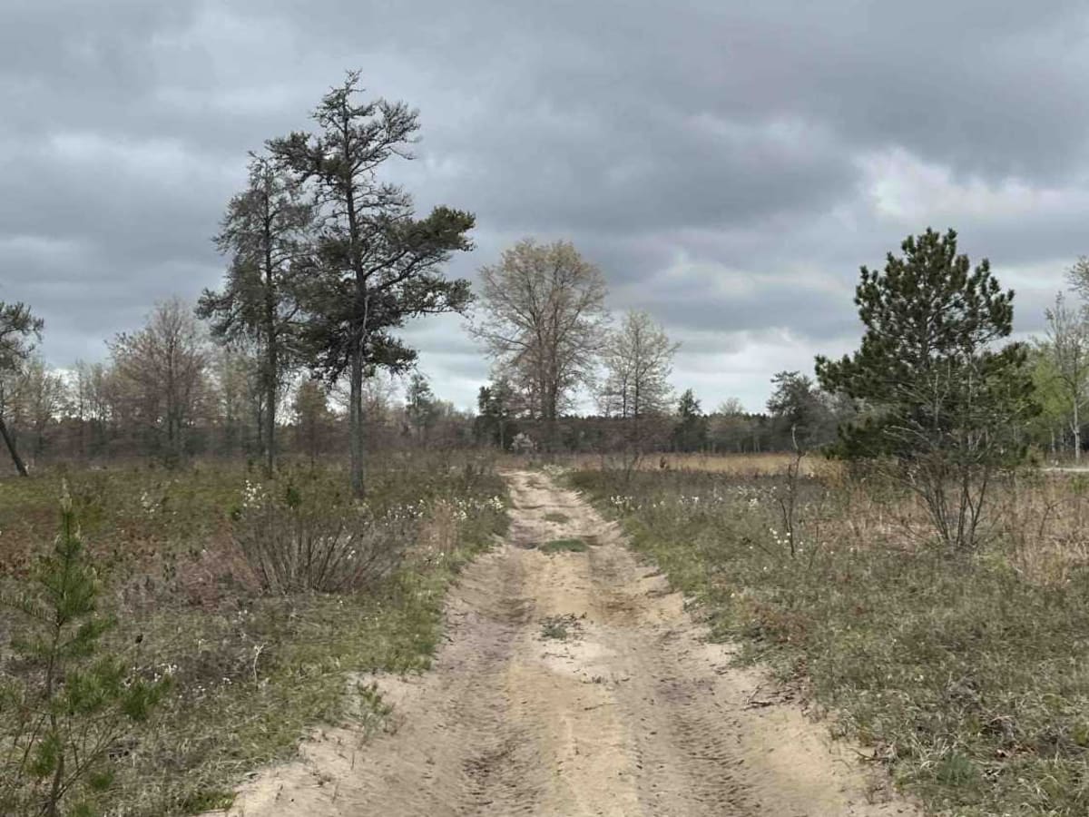 Grass Lake H9-13 photo 3