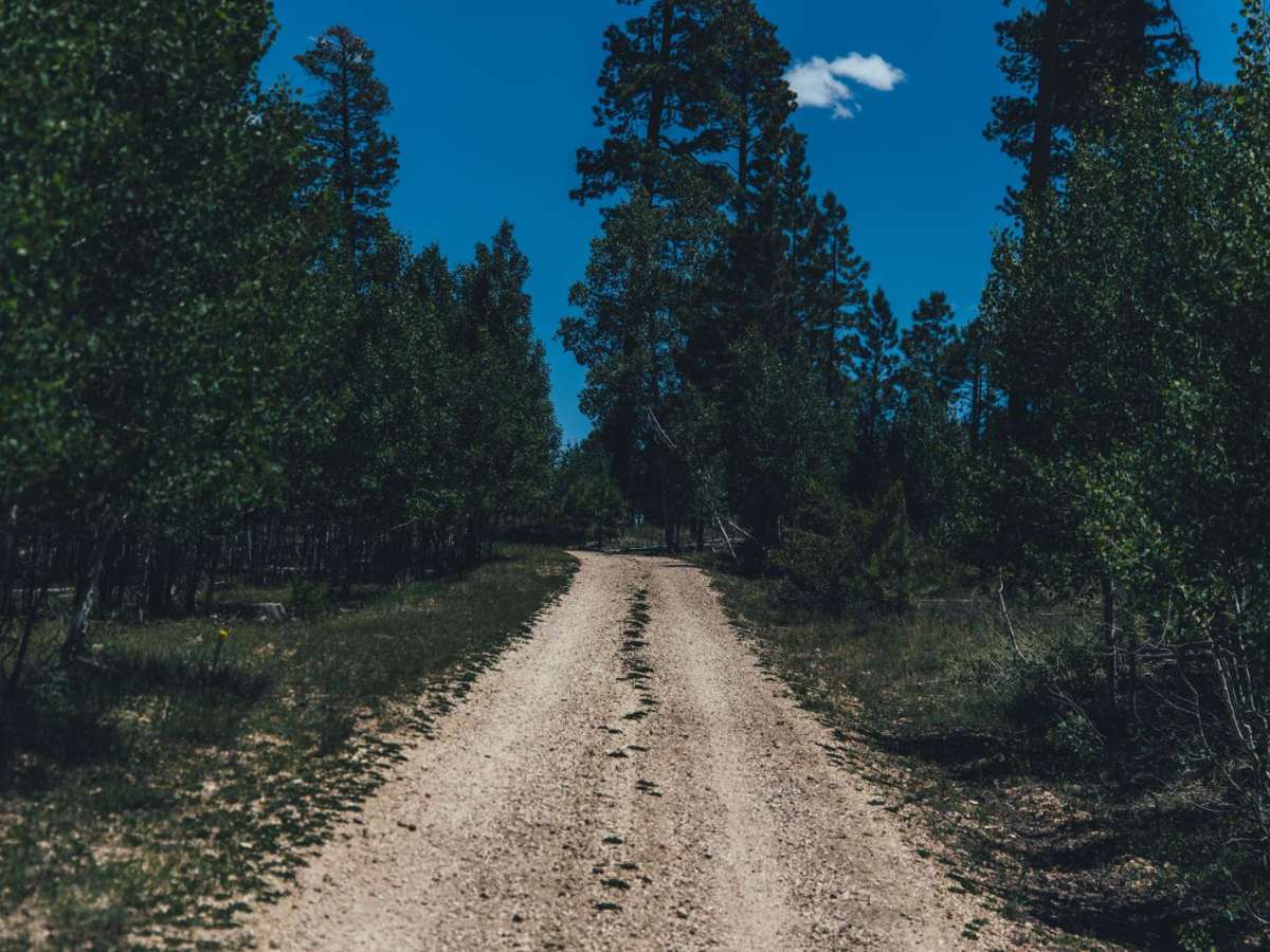 Half Mile Access Road photo 4