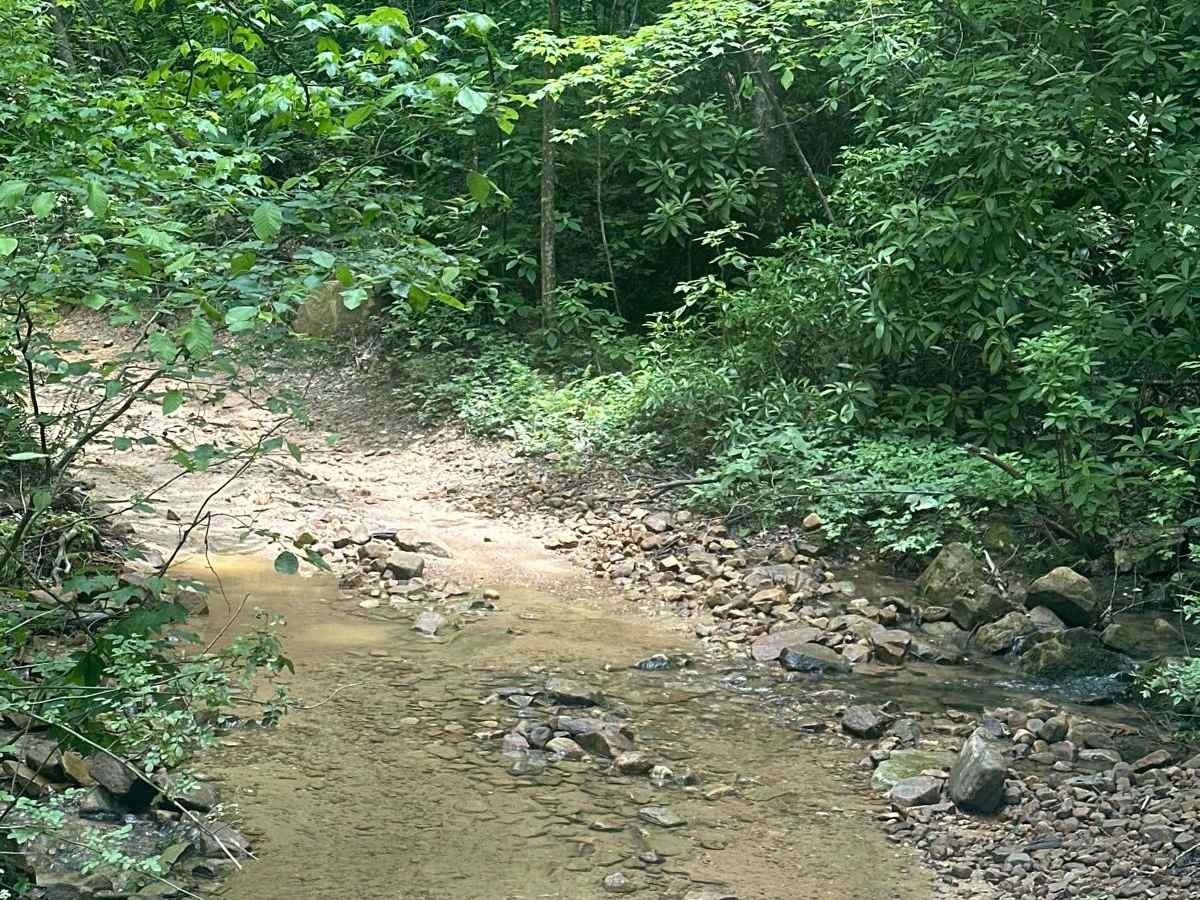Sandlick Trail photo 4