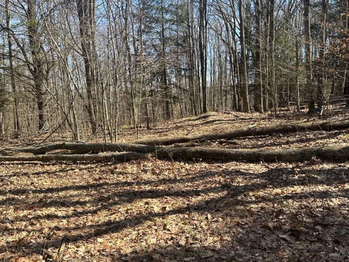 Van Husen Road photo 6