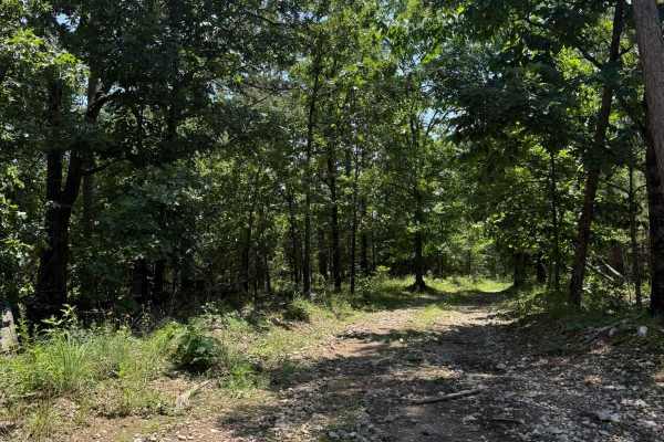 Casen's Trail