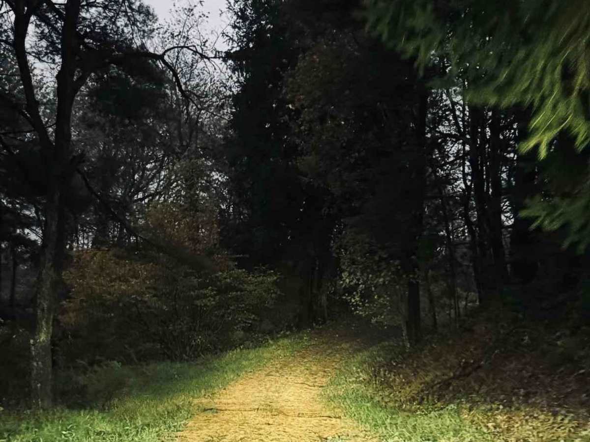 John Henry Road photo 2