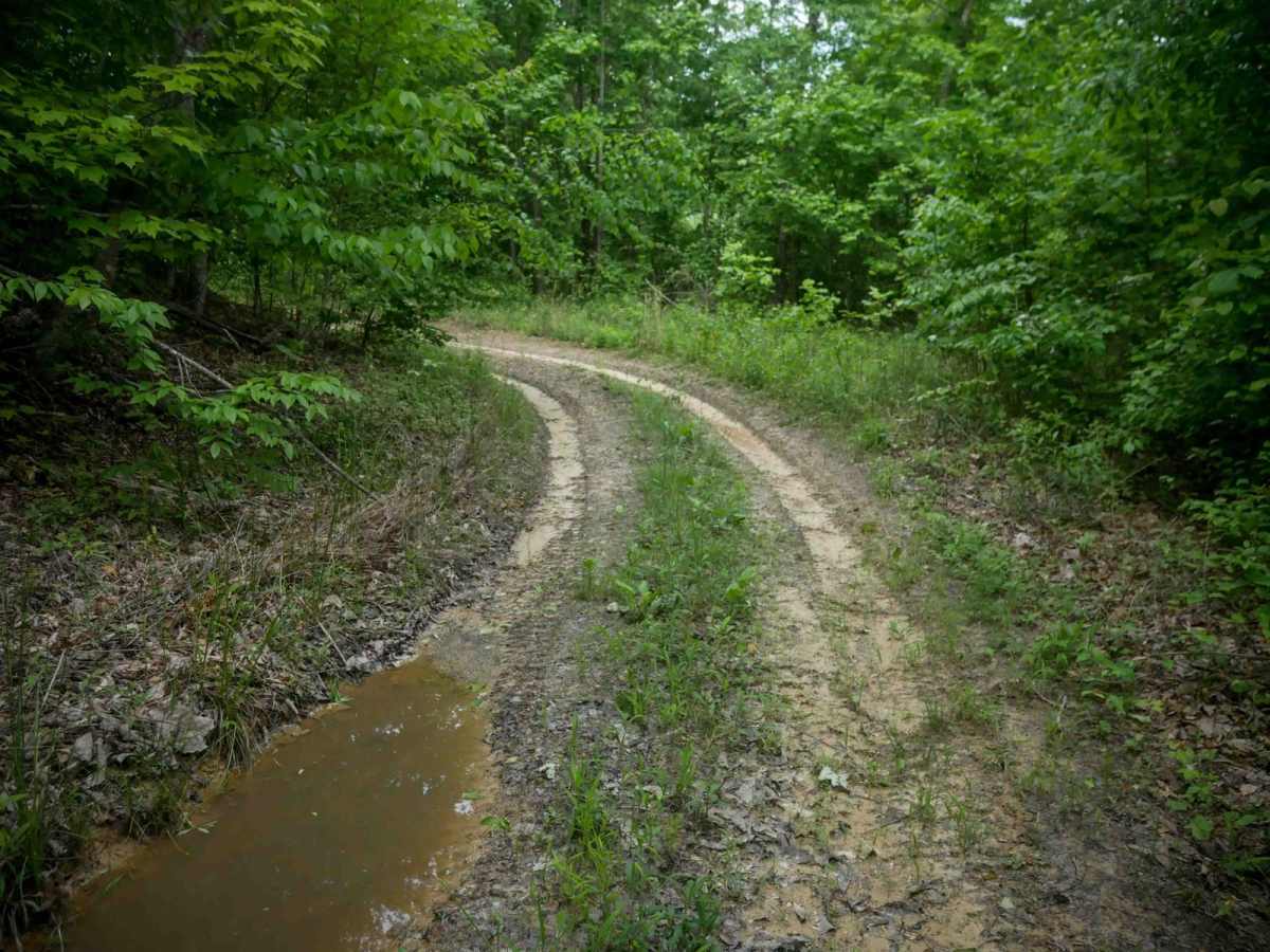 MV75 photo 4