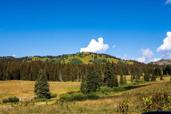Leroux Creek Road - FS 128