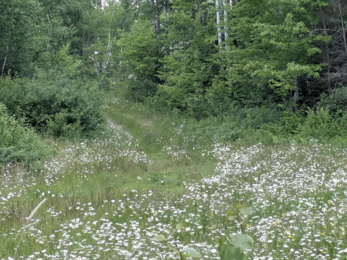 Hulum Road photo 6