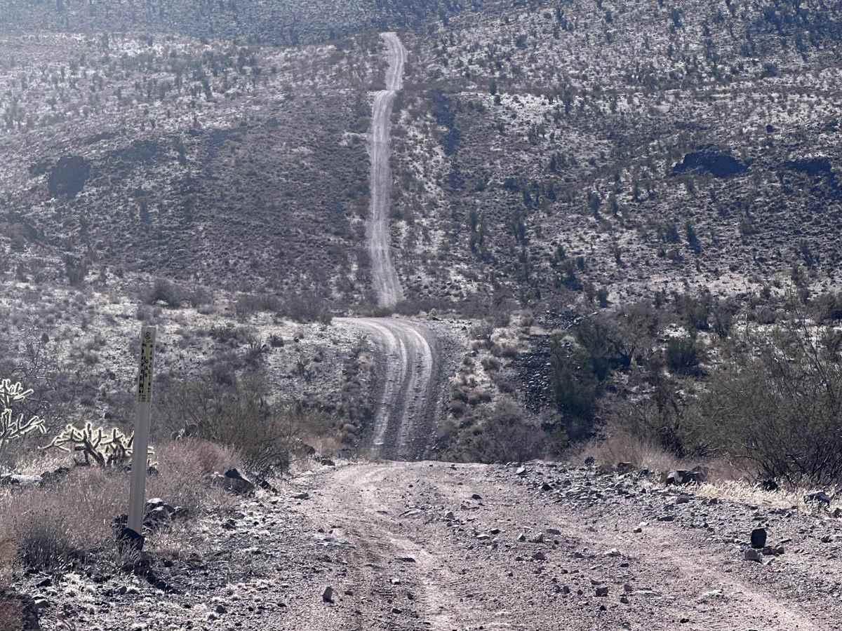 Kingman Rollercoaster photo 2