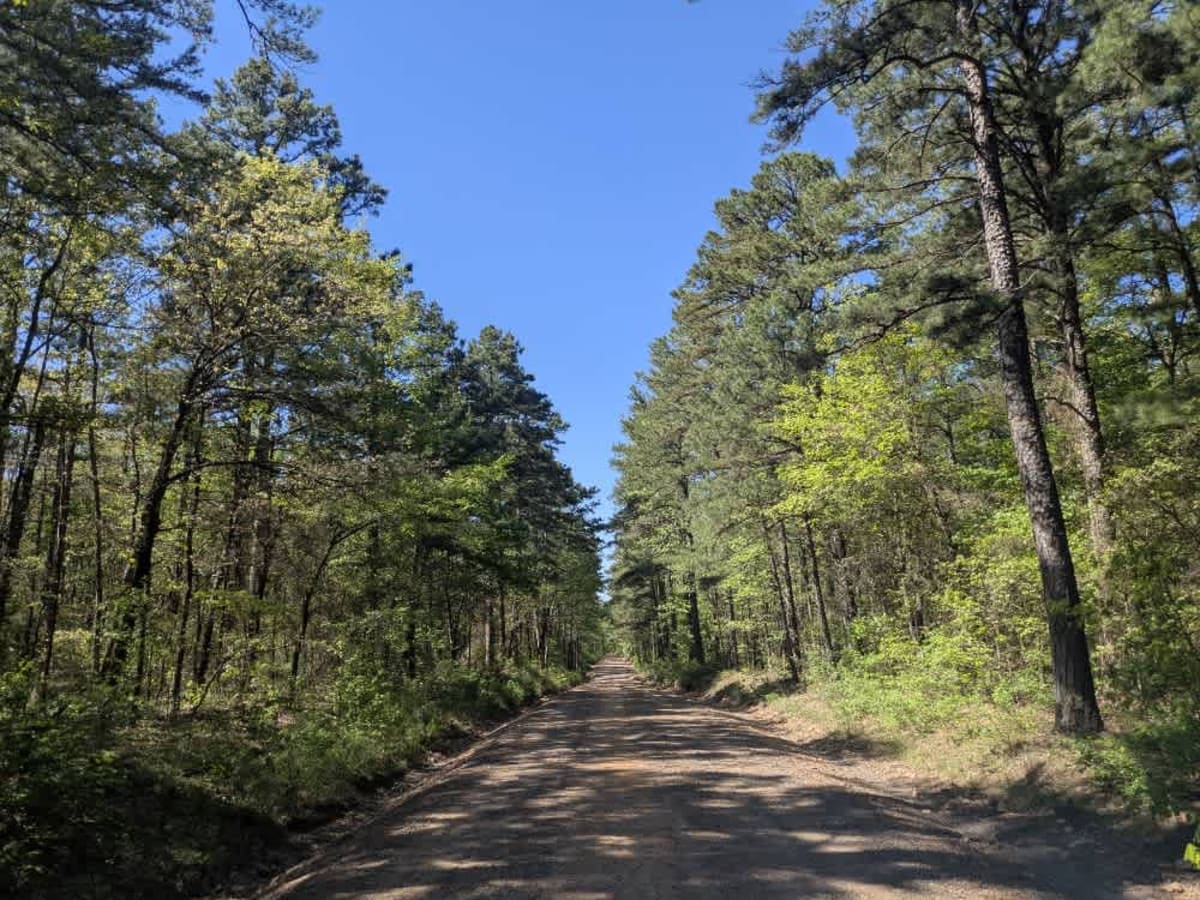 County Road 97 photo 2