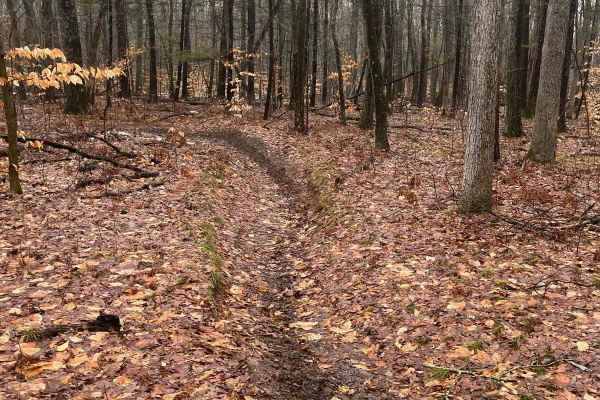 Horseshoe Motorcycle Trail Part 3