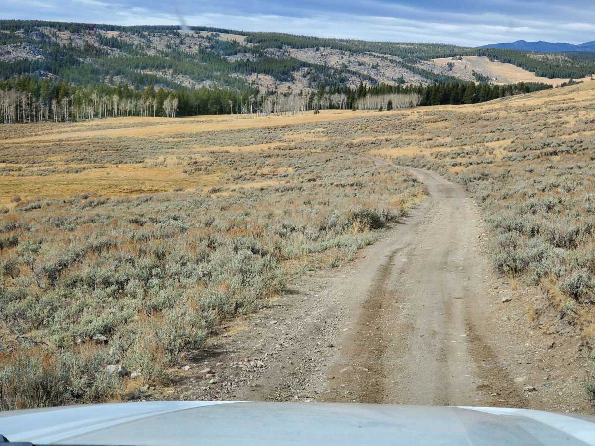 Web Creek Loop trail photo